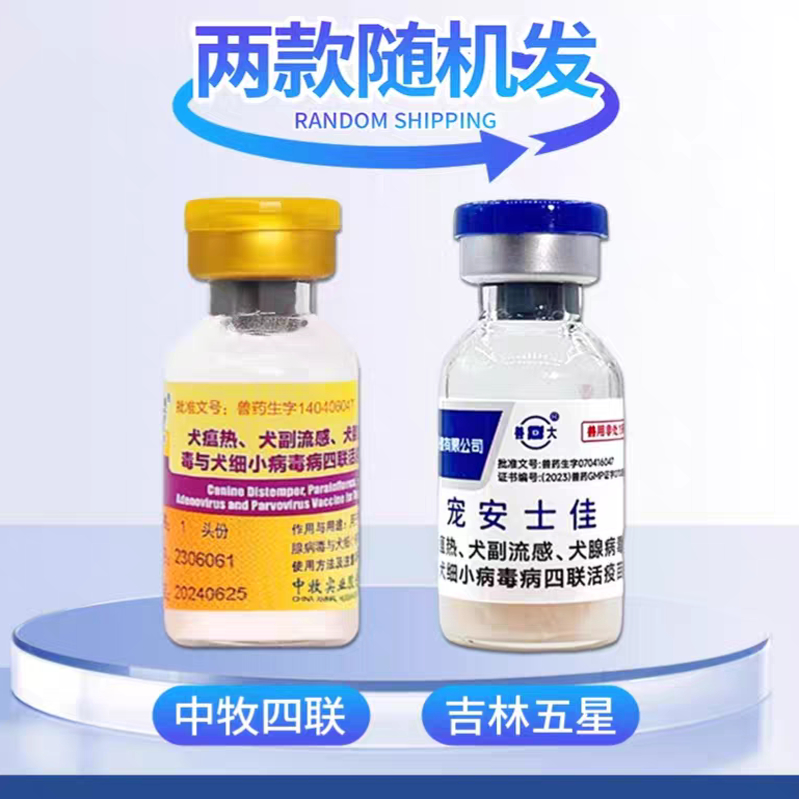 宠物狂犬疫苗：保护毛孩子，守护家庭安康！