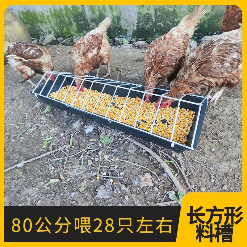 新款喂鸡食槽，养鸡自动喂食神器，再也不怕鸡鸭鹅打翻食物！