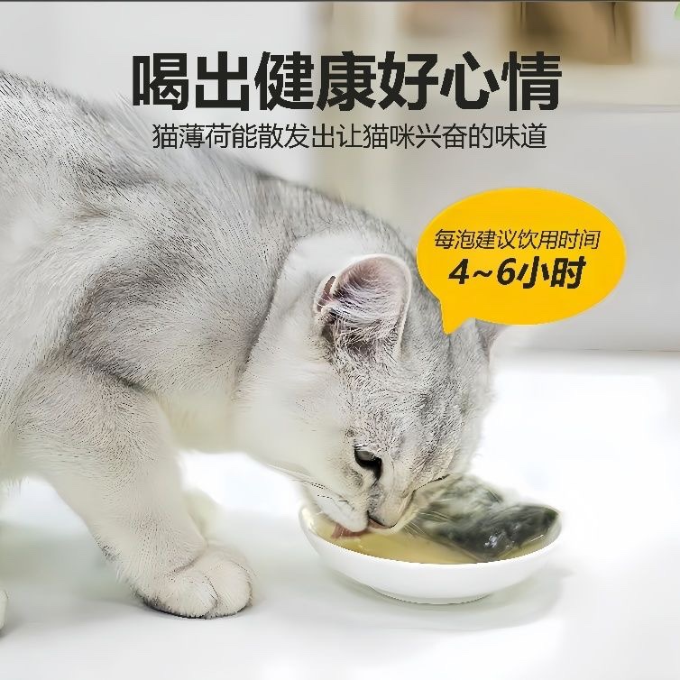 猫薄荷茶包：激发猫咪活力的秘密武器