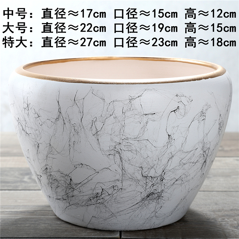 天然椰子壳花盆：多功能创意家居装饰，打造自然生活新风尚！