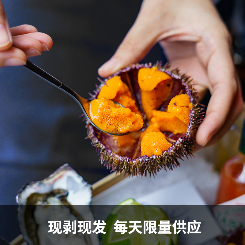 大连马粪海胆刺身级鲜活现开，四季美味，日料商用同城闪送！