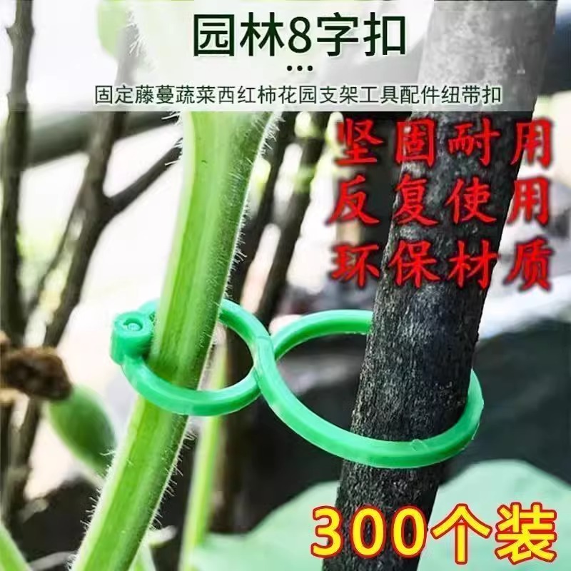 黄瓜西红柿豆角爬藤神器：轻松搞定你的绿植蔬菜园艺难题！