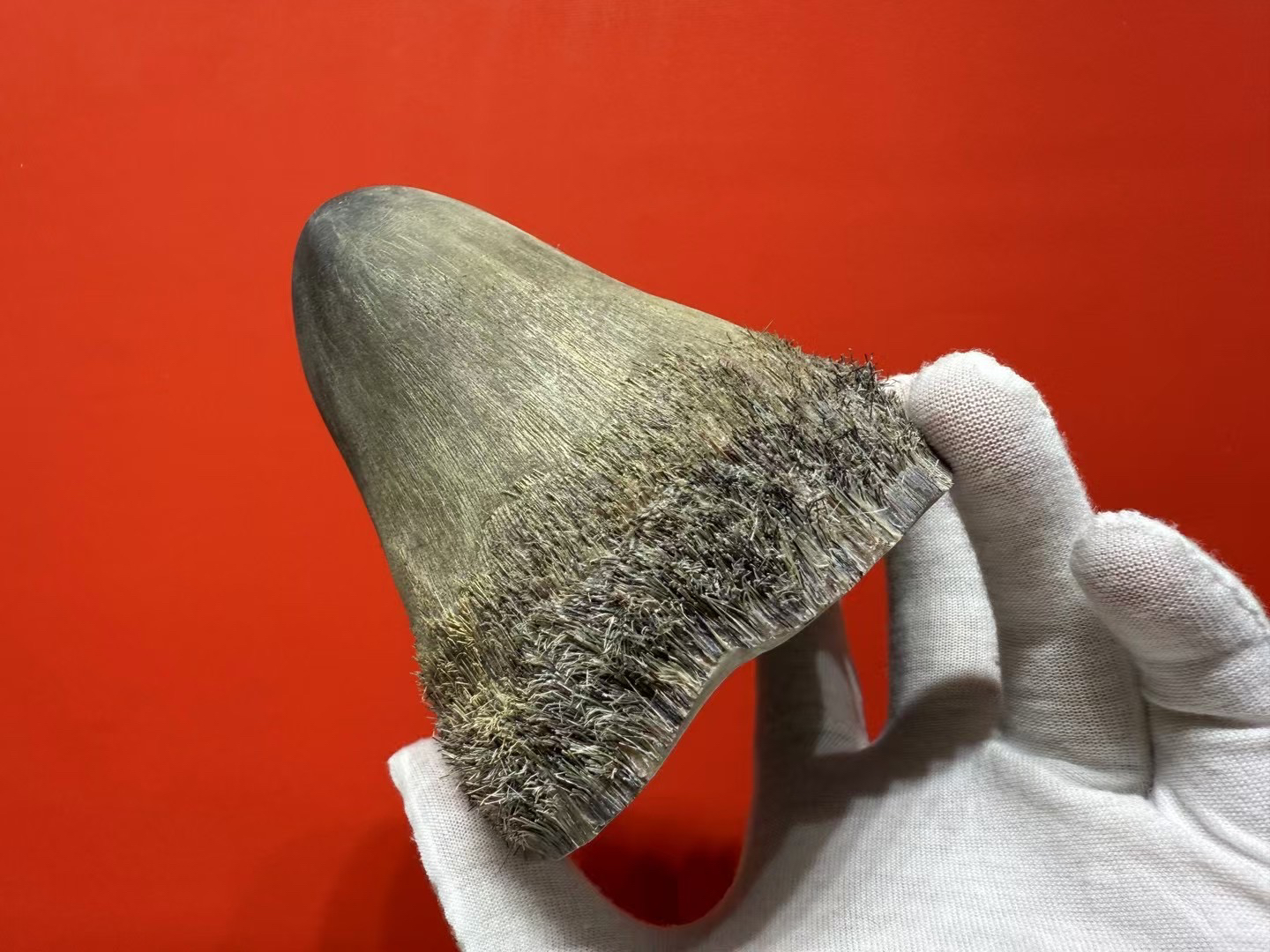 保真天然犀角摆件：文玩古玩中的稀世珍宝