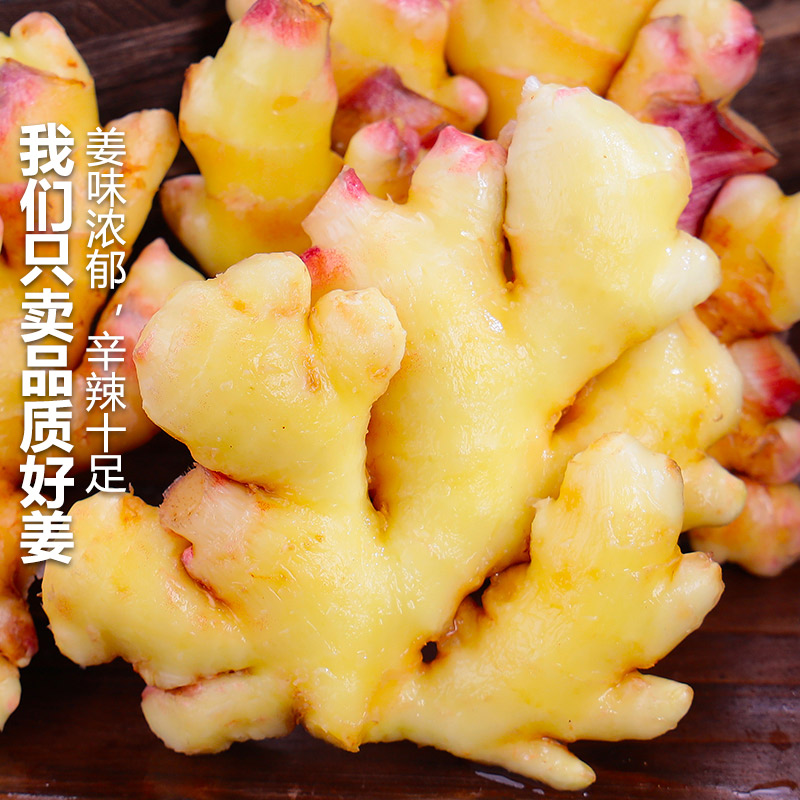 云南老黄姜：9斤新鲜生姜嫩姜，现挖高山小黄沙姜，土姜月子姜，让你吃出健康好气色！✨