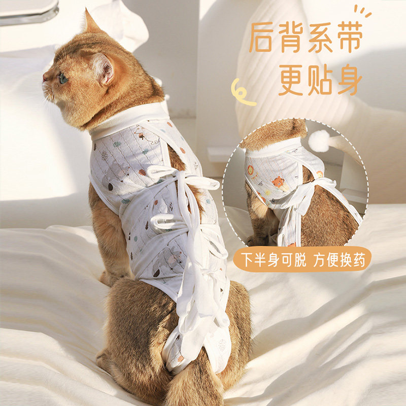 猫咪绝育服选择指南：如何挑选适合猫咪的绝育服？