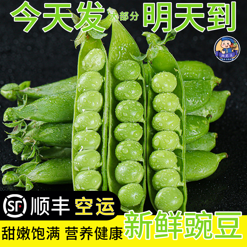 云南新鲜豌豆：现摘现发，带你尝鲜农家美味