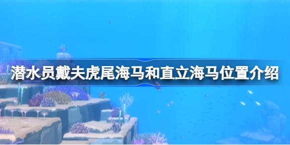 潜水员戴夫虎尾海马和直立海马在哪 虎尾海马和直立海马位置介绍