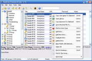 KeePass Password Safe Professional Edition2.33