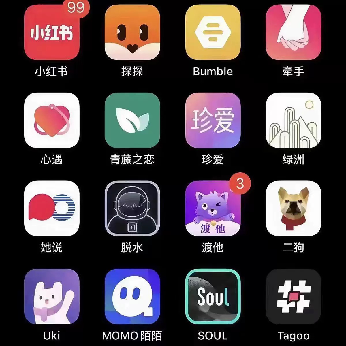 探探猫过大节，CCTV带你走进传统节日的热闹现场