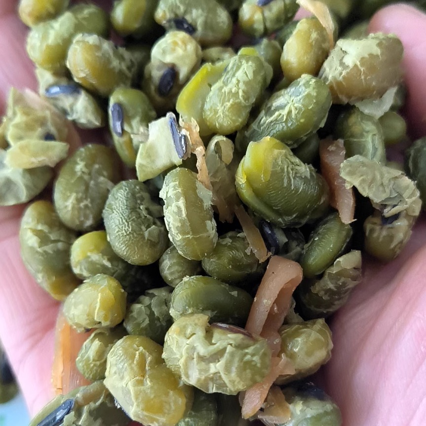 临安笋干制品：多味笋丝花生青豆，解锁杭州土特产的独特风味！