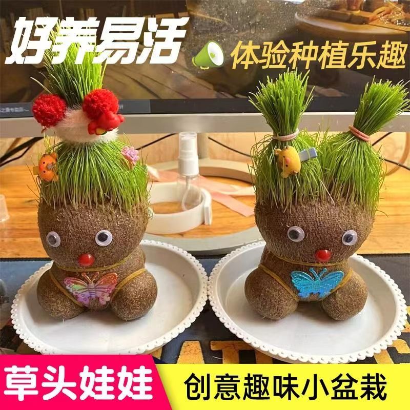 长草娃娃：给你的桌面添一抹绿意，创意盆栽新宠儿