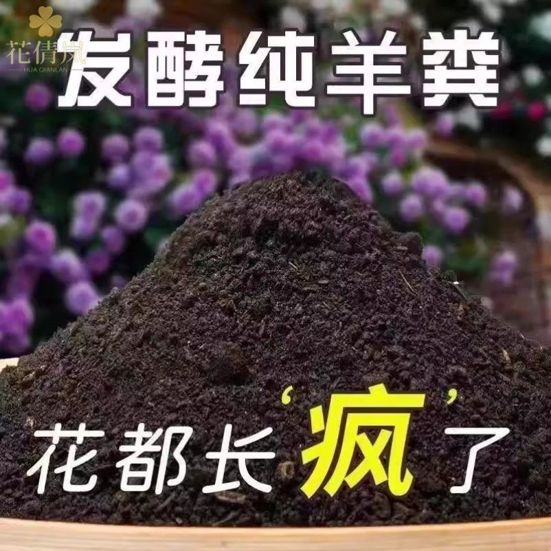 拖带梁鸡粪带支撑梁挡边护板：养殖业高效清粪的秘密武器！