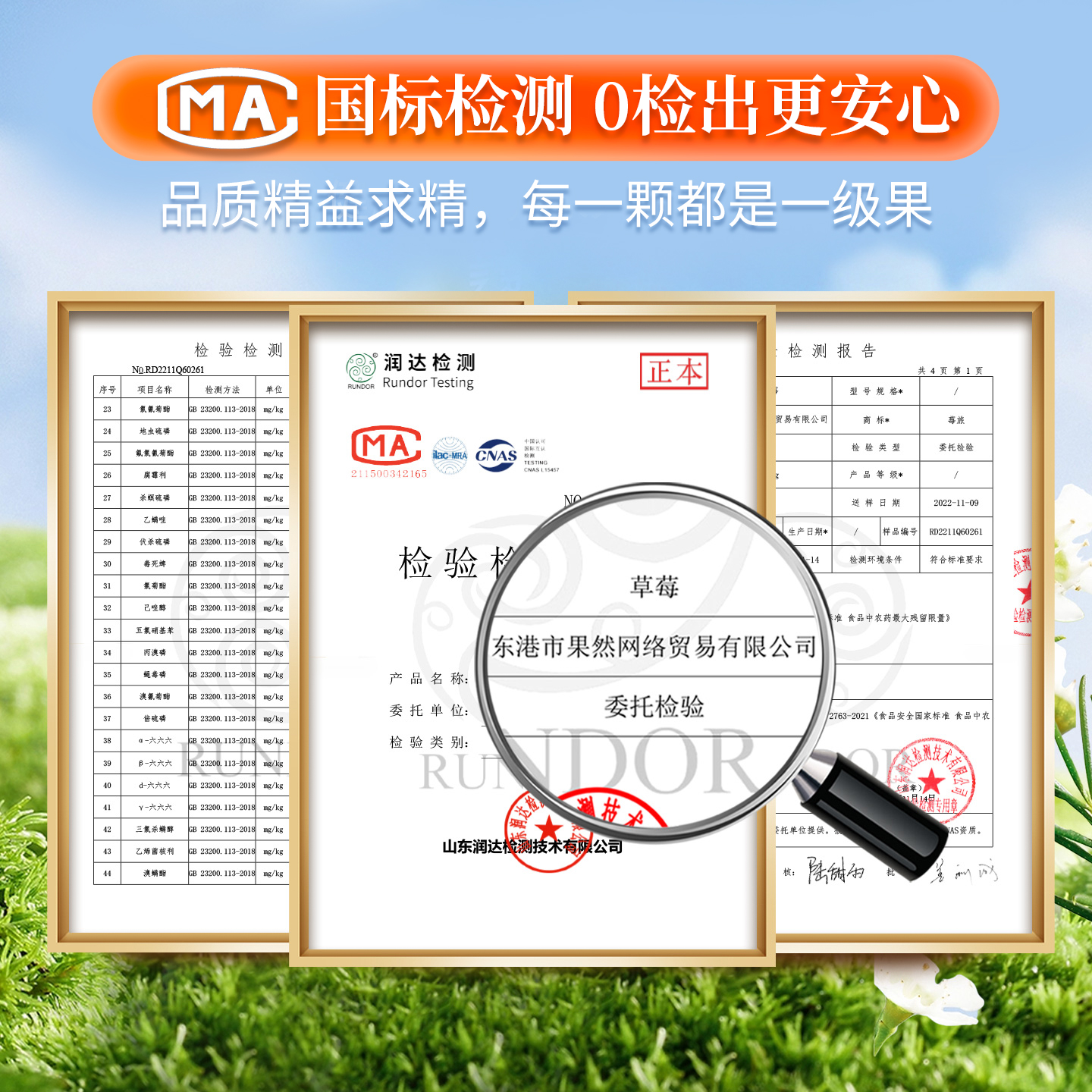 丹东草莓：99红颜牛奶草莓，孕妇最爱的新鲜大草莓！