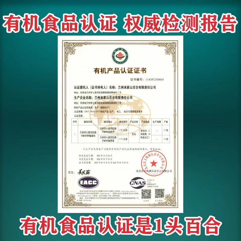 潘虹前夫米家山：消失的电影明星丈夫，如今生活如何？