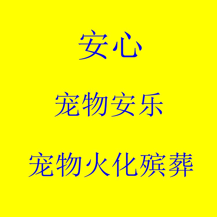 北京宠物火化殡葬服务：给毛孩子最后的温柔告别，孙医生上门服务