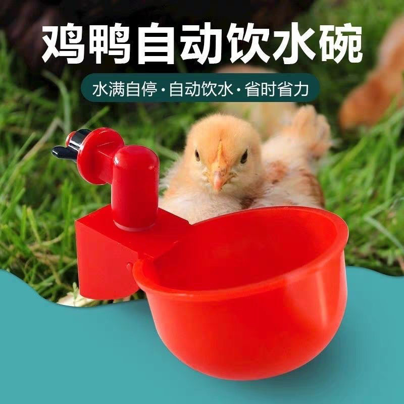 鸡用自动饮水器：智能养殖神器，解放双手的秘密武器！