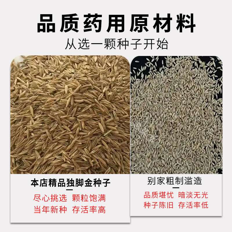 河磨独籽葫芦：神秘东方艺术品，收藏界的下一个大热门？