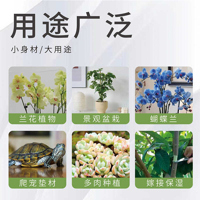 【包邮】中国苔藓志：0卷，带你走进神秘的苔藓世界