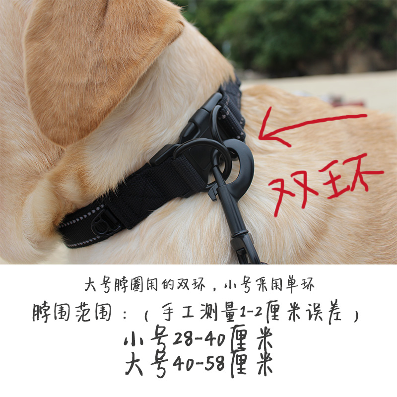 p链狗狗项圈：防爆冲神器，小中大型犬通用，金毛训练必备！