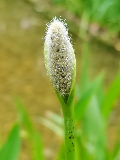 电脑开机绿色斑点无法开机