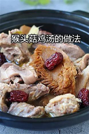 猴头炖鸡腿的做法,猴头炖鸡腿——营养滋补的佳肴制作方法