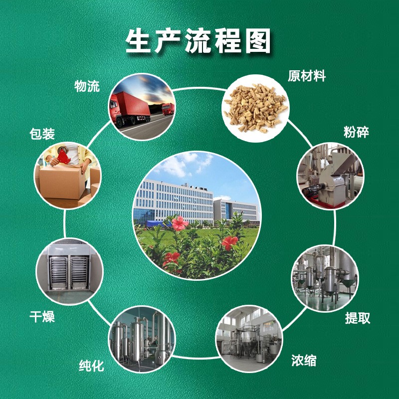 灵芝三萜10%：天然保健新宠，解锁免疫力提升的秘密