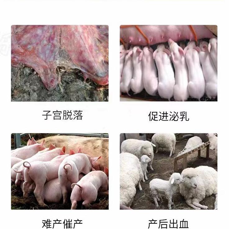 分娩奇遇记：肚疼难产，生孩子的那些“痛并快乐”瞬间