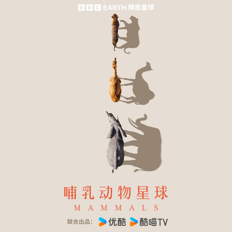 生命：非常的世界 - BBC科普三部曲，中小学生必读！