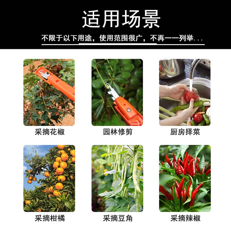 摘花椒神器来袭！云手牌花椒采摘器，轻松摘花椒，告别手痛！