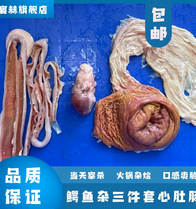 新鲜鳄鱼杂包邮，你真的准备好了吗？揭秘神秘的鳄鱼内脏世界！