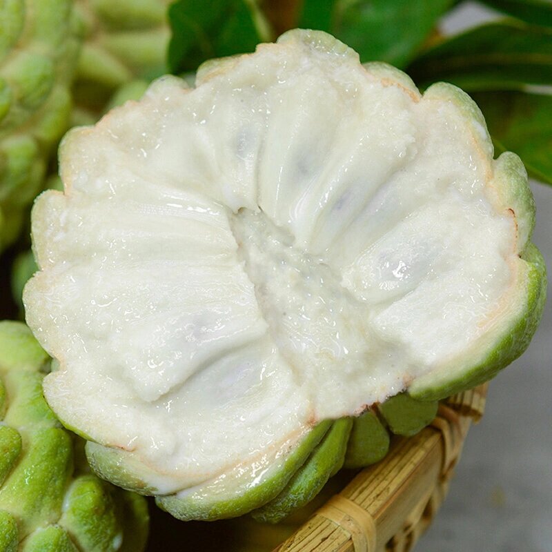 揭秘宝马5系的车身尺寸：豪华轿车的新标杆