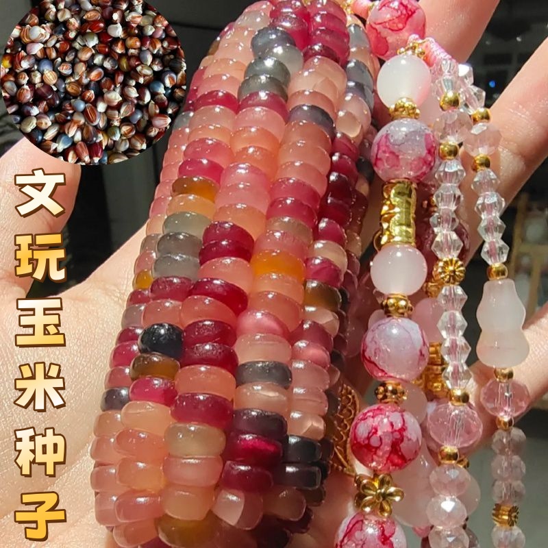七彩文玩玉米种子：种下多彩梦想，收获宝石般的文玩玉米粒！