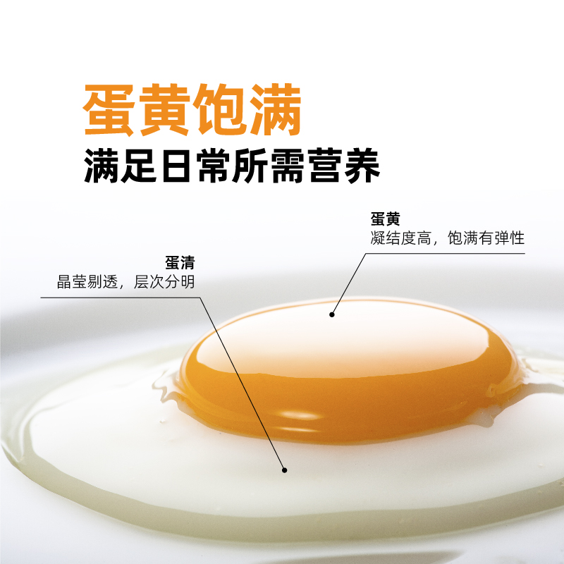 淘宝买家等级高有哪些实际好处？✨