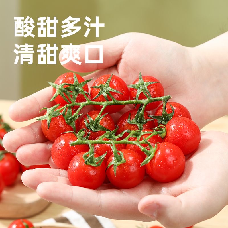正宗韩国釜山88千禧小番茄：甜到心坎里的千禧味！