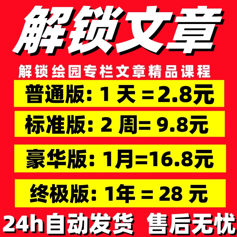 ACSION亚克逊匹克球拍板T700碳纤维新手必备，专业级体验等你来解锁！