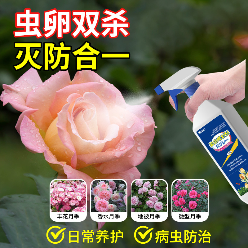 蚂蚁花呗开通攻略：手把手教你轻松搞定！