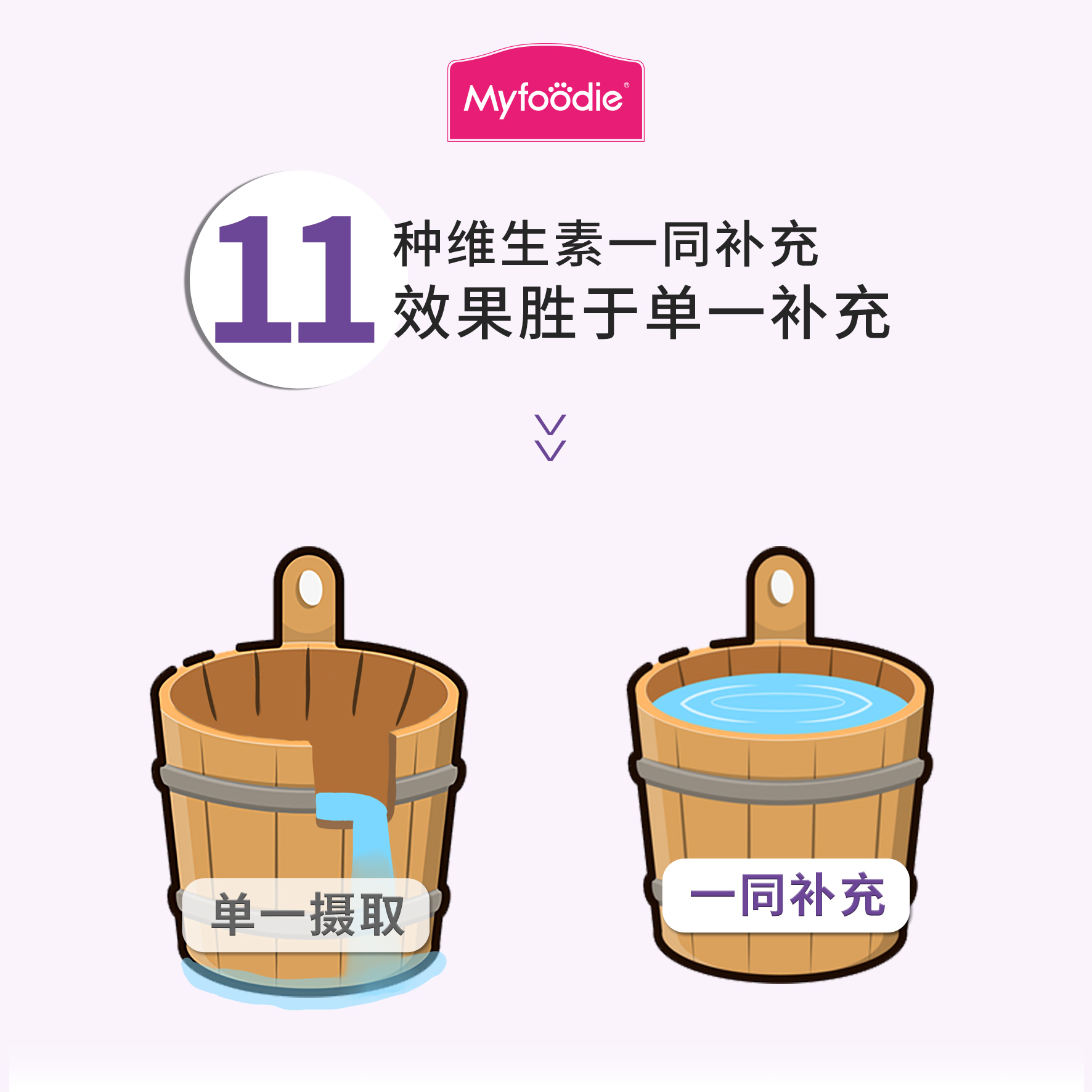 麦富迪猫用复合维生素B族100g：猫咪健康守护神，全家适用！