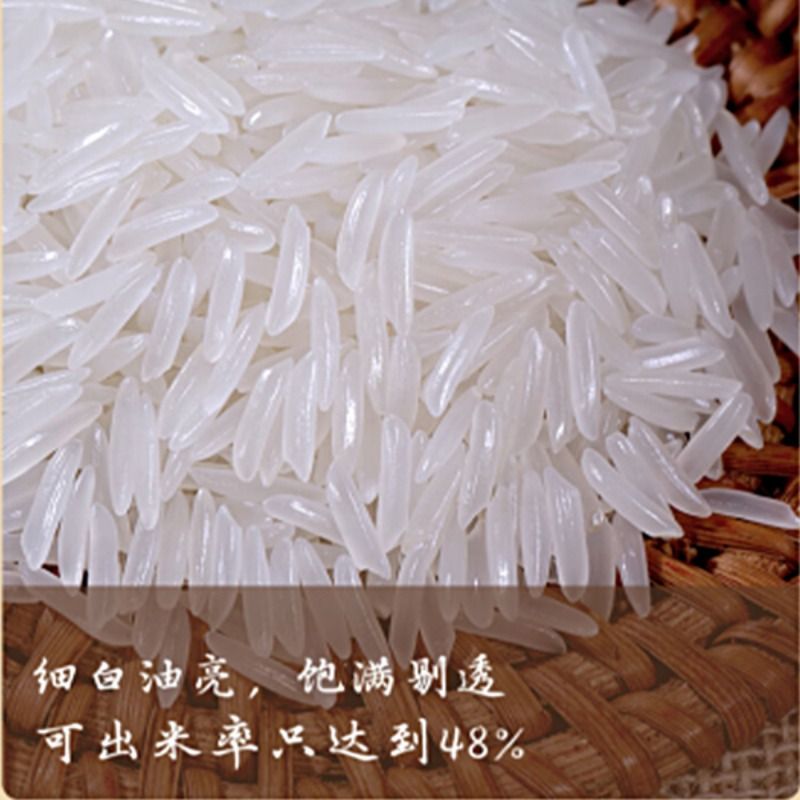 买10斤送10斤！正宗猫牙米，超长粒香米，软糯农家象牙米，吃货们看过来啦！