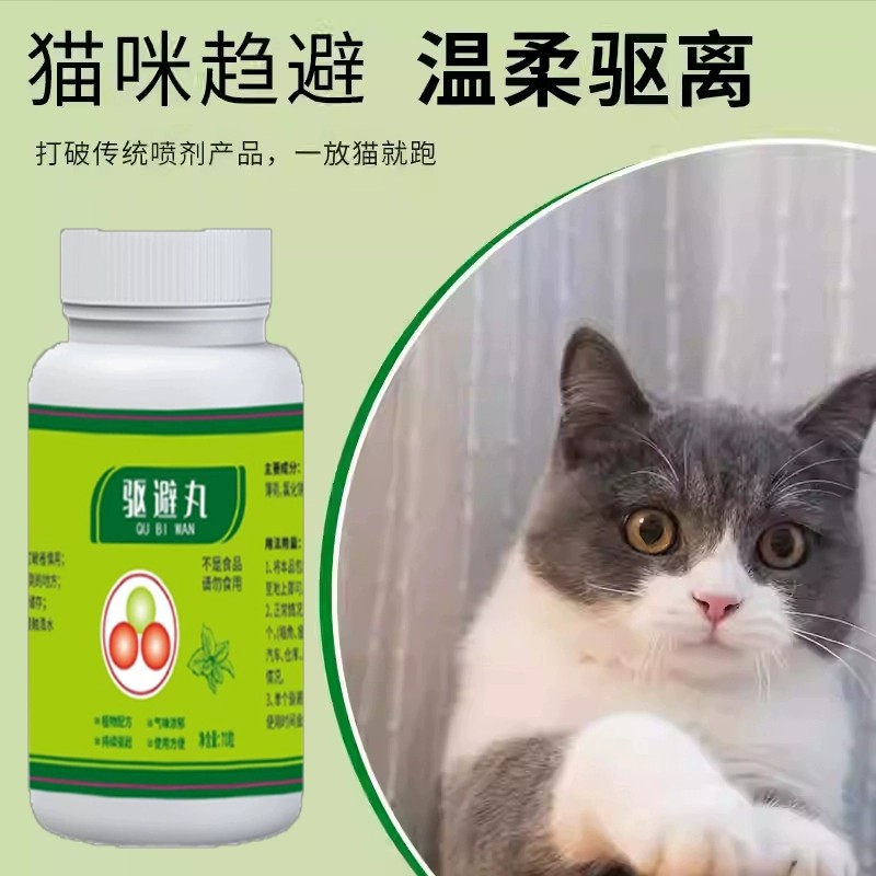 驱猫神器来袭！告别野猫乱尿，保护爱车无压力