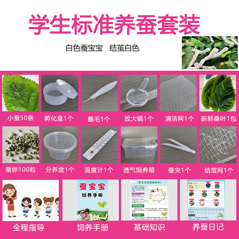 蚕宝宝活体春蚕&amp;蚕卵：开启你的科学养蚕之旅，轻松养活1-4龄小蚕！