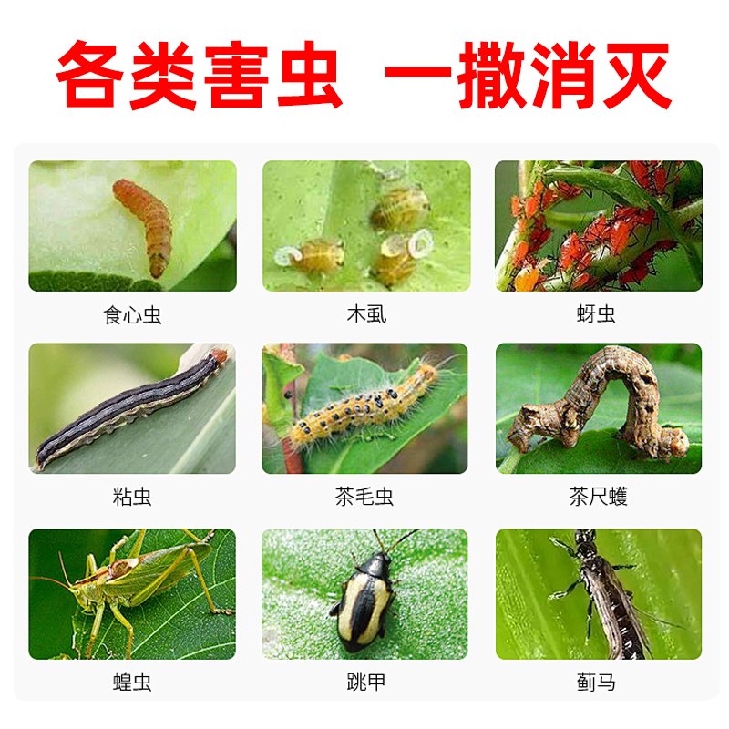 土壤除虫专用颗粒，菜地杀虫治病菌生根壮苗神器，瓜果蔬菜通用！