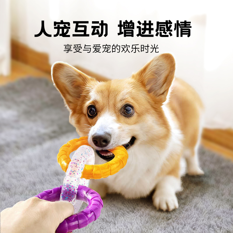 狗狗玩具大揭秘！边牧金毛必备的耐咬洁齿训练神器来啦！