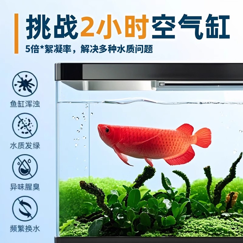 鱼池鱼塘除藻去苔剂鱼缸专用除藻剂：清澈水质的秘密武器！