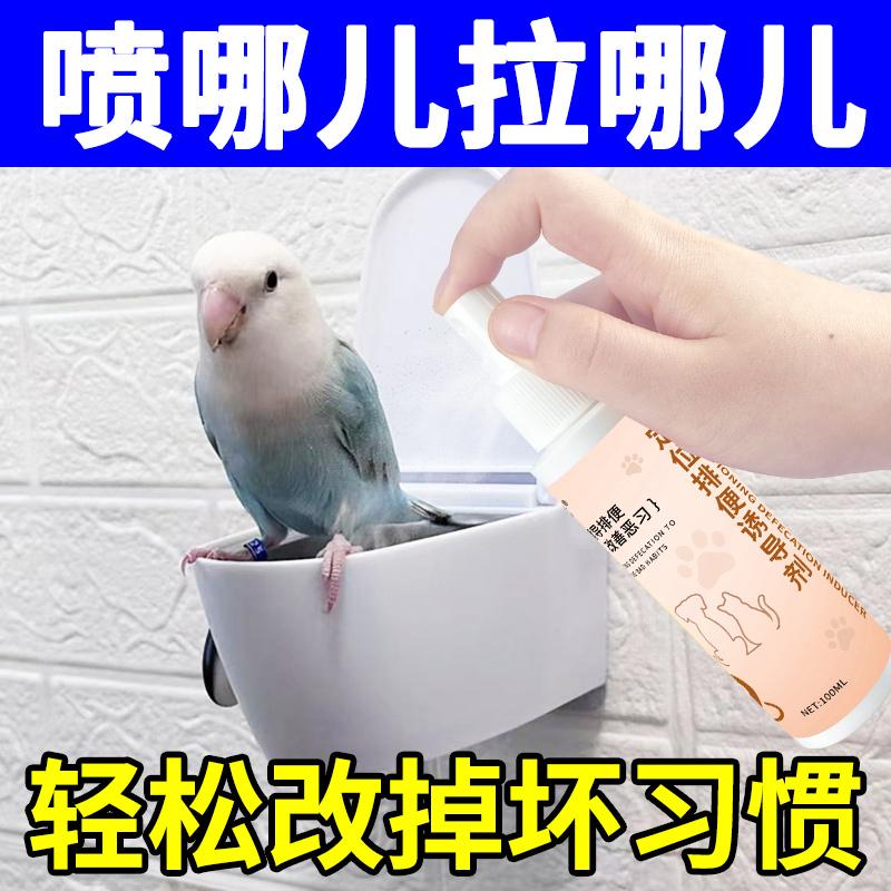 鹦鹉定点排便神器，告别乱拉乱撒，打造干净家居环境！