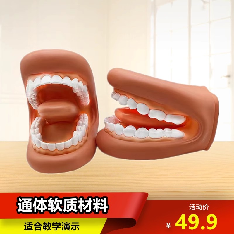 儿童发音教学神器！牙齿模型刷牙练习太香了，宝妈必入