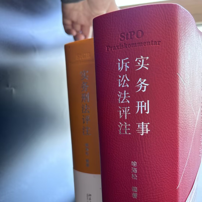 当当网实务刑事诉讼法评注（第二版）2025！法律人必入！一书搞定刑诉难题