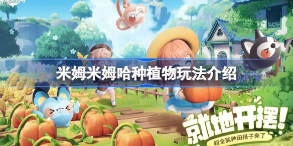 米姆米姆哈种植物玩法介绍 米姆米姆哈该怎么种植物