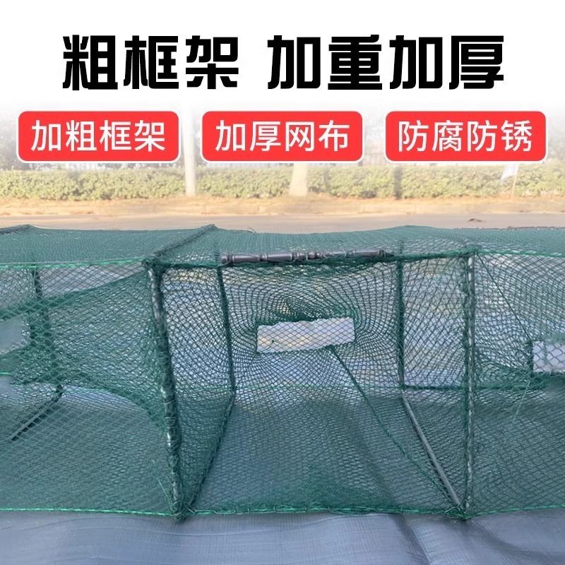 捕鱼神器大揭秘：扇形网笼折叠虾笼，轻松抓鱼捕虾，只进不出！✨