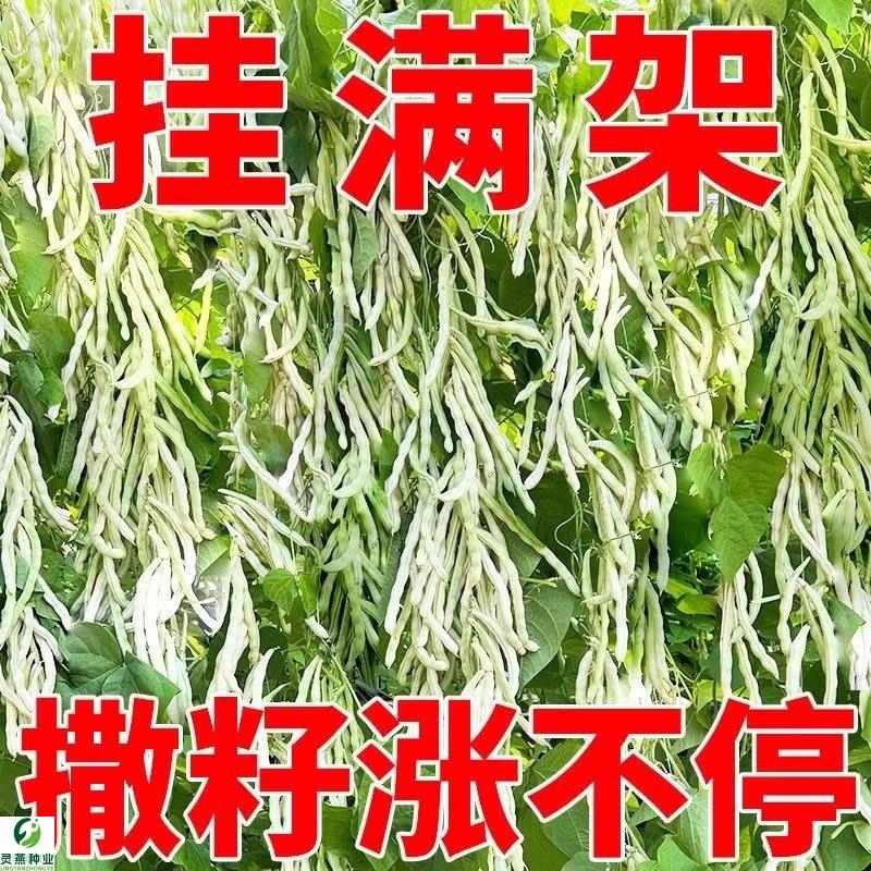 英啡根果动力微生物菌剂：开启植物生长的新篇章，打造超级丰收的秘密武器！