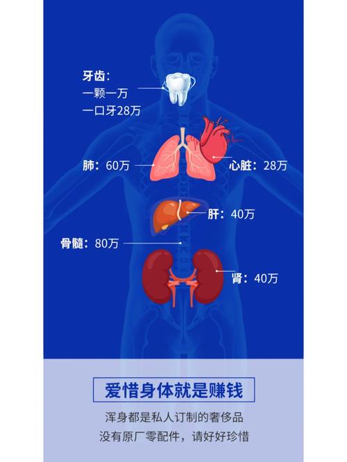 華嶋玲菜,从君川结衣到华嶋玲菜，艺名变迁背后的故事